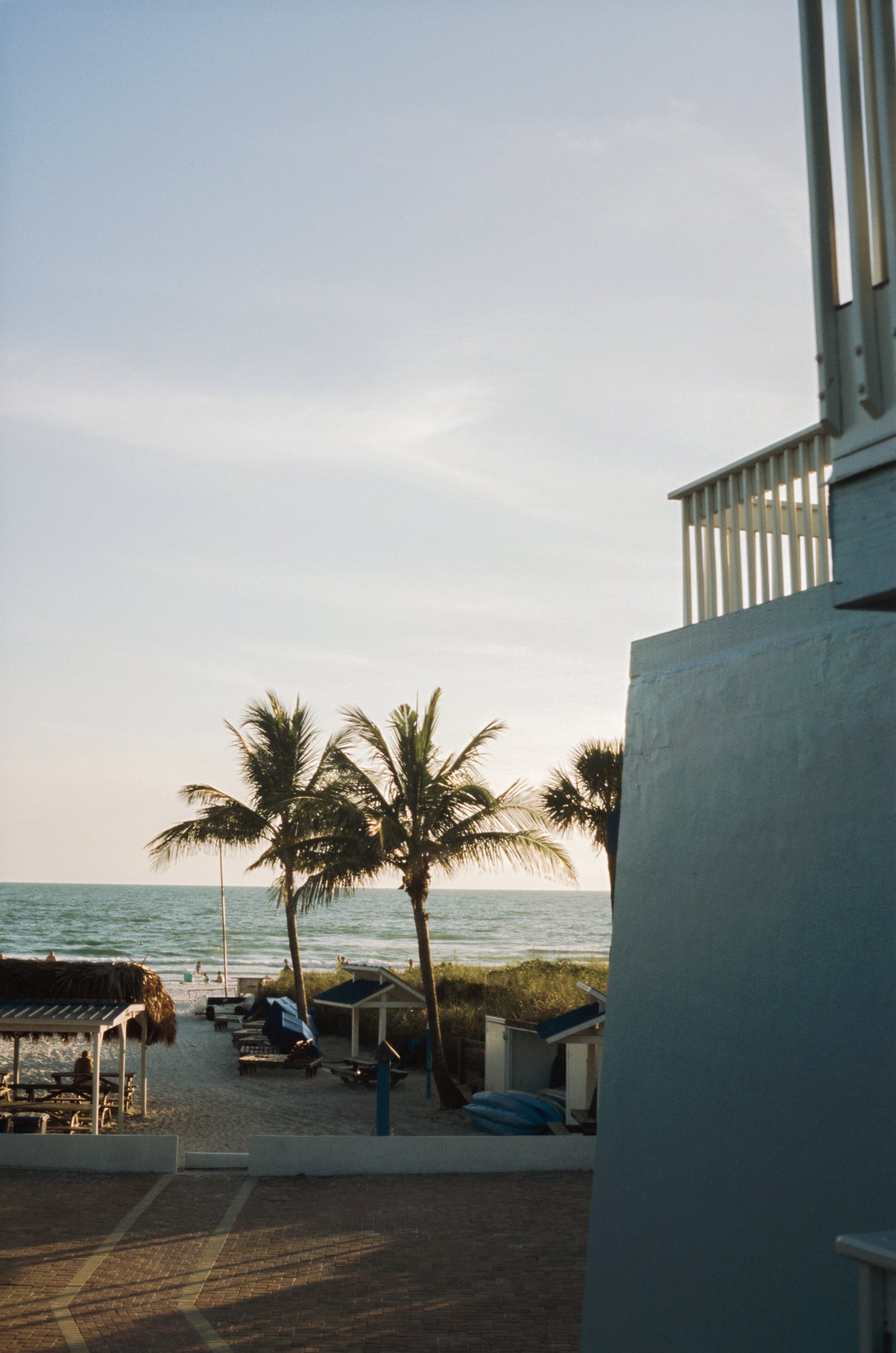 Odyssey 100 - 35mm Color Reversal Film - Single Roll