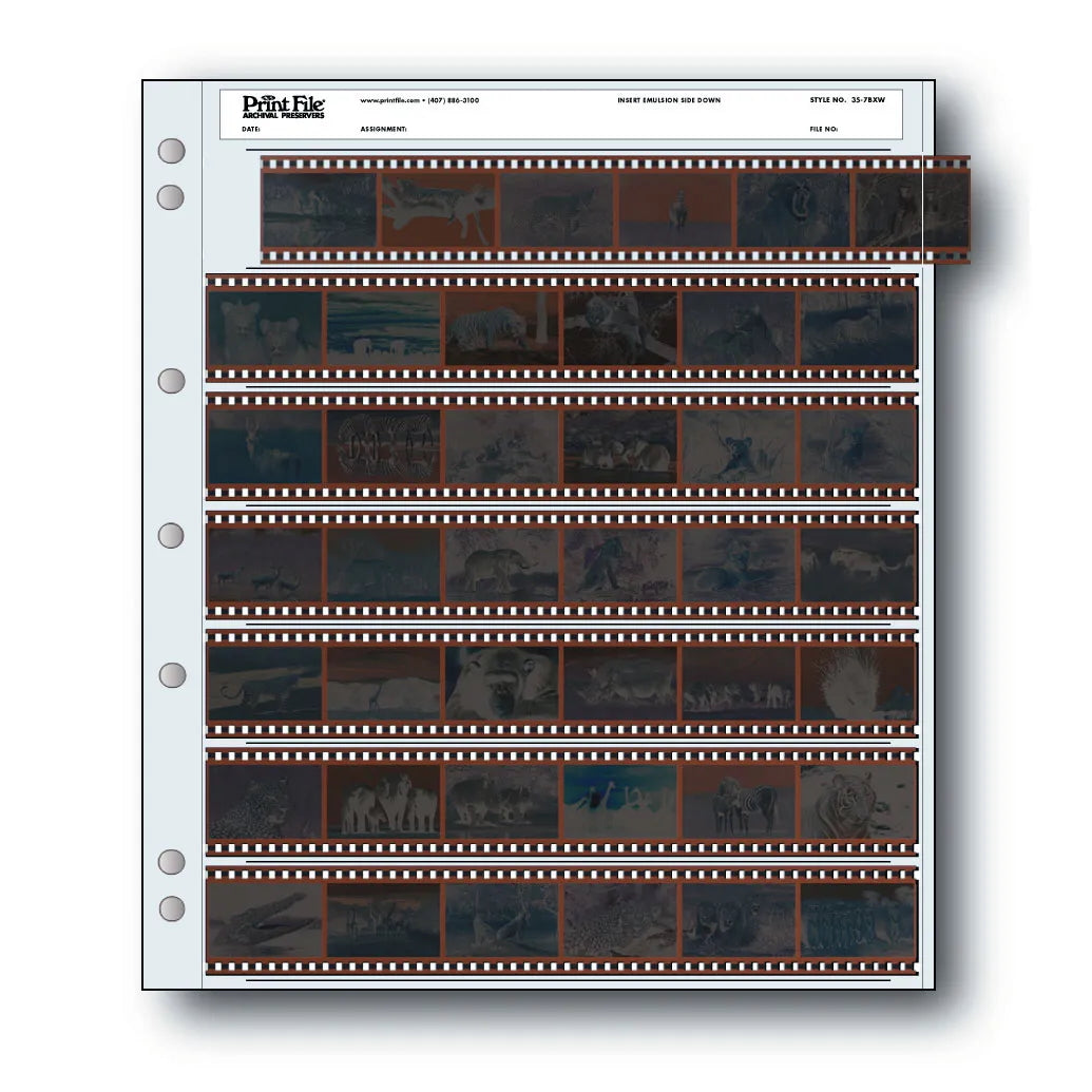 Print File Archival Storage Page Sleeves 25pk 35-7BXW 6 frames 7 Rows
