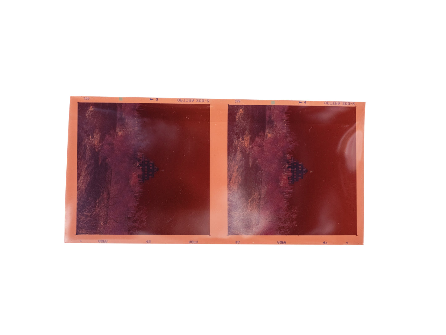 120 Scan Only - Single Strip of Film