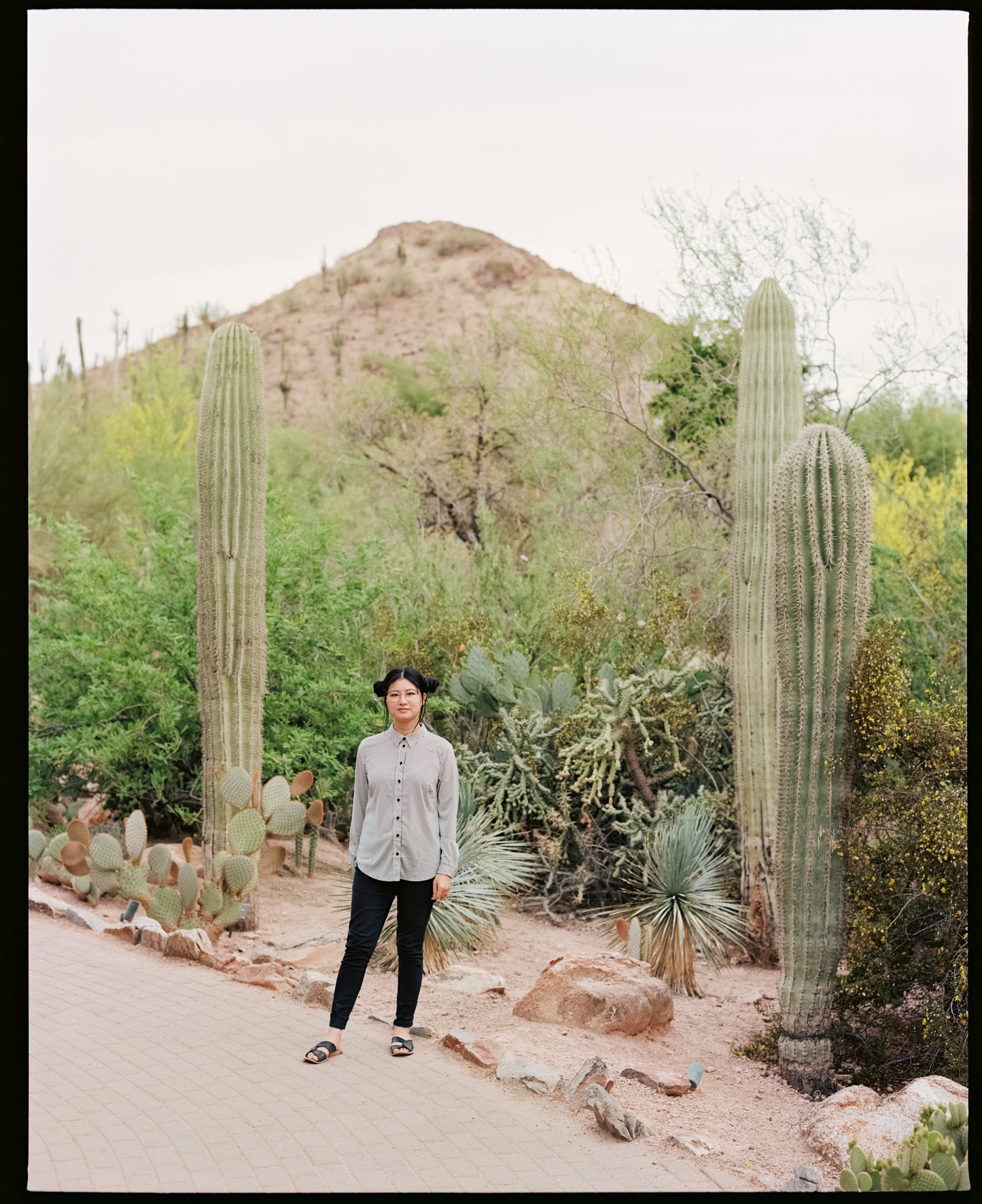 Fujifilm Frontier SP3000 MFC Film Carrier Mask - Full Frame