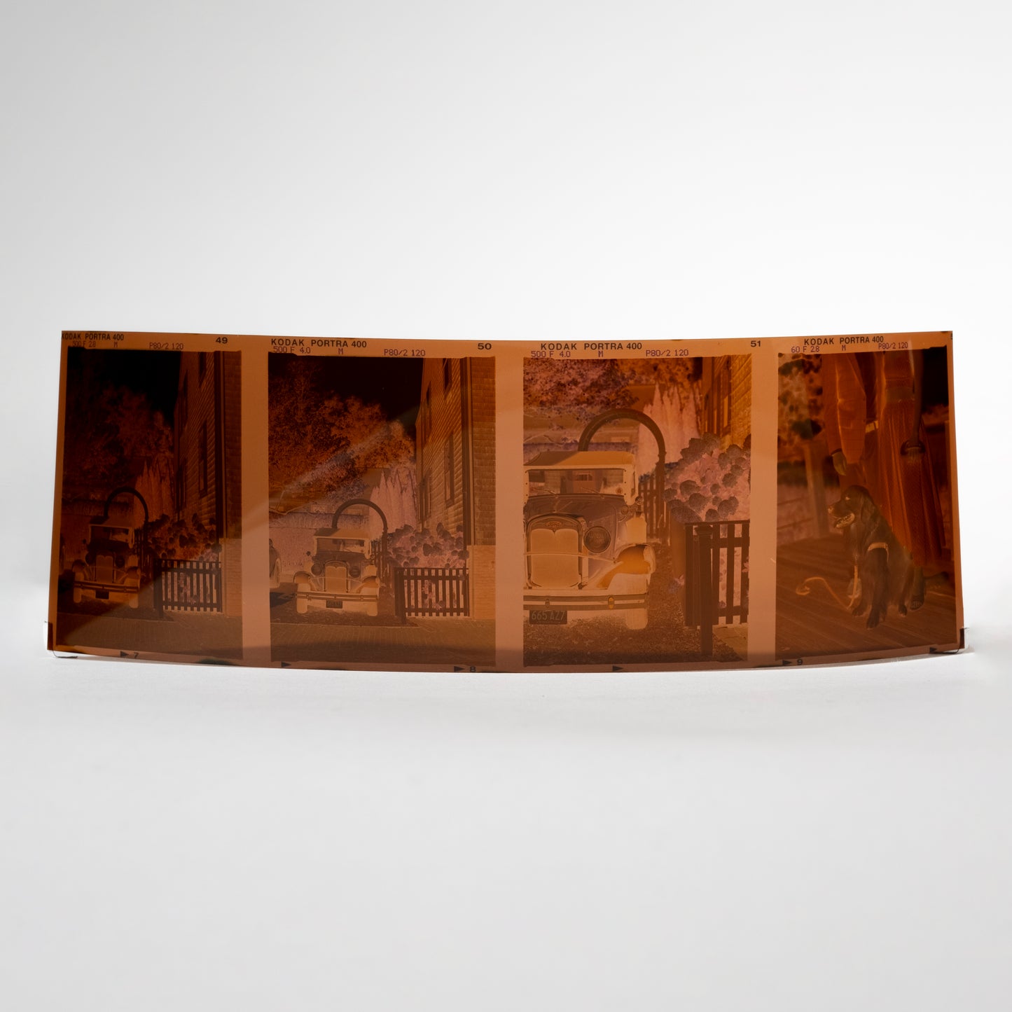 Medium Format Digitization - Single Strip of Film