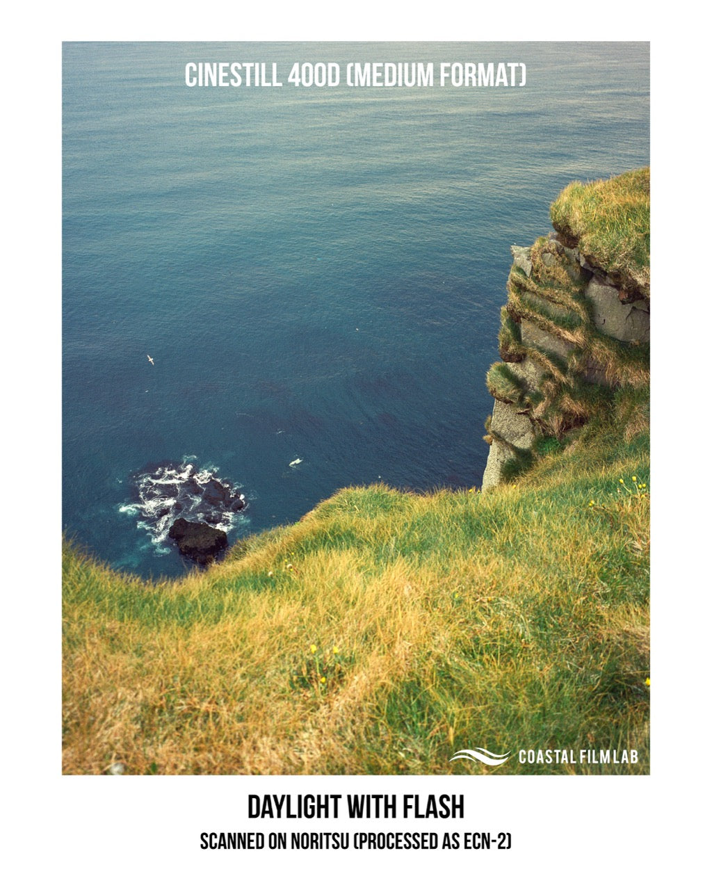 CineStill 400Dynamic 35mm film