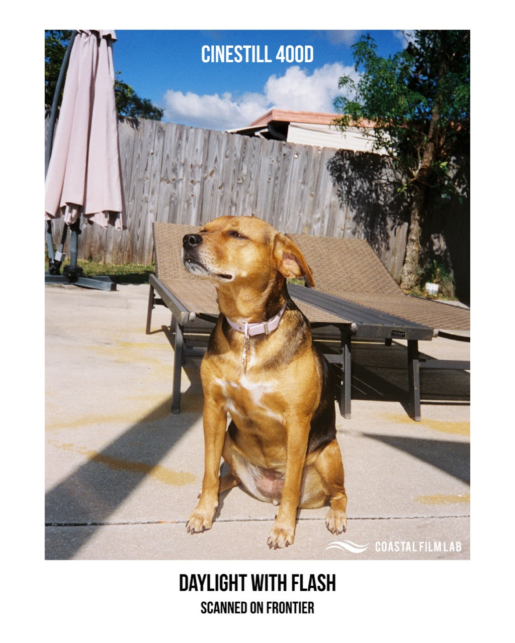 CineStill 400Dynamic 35mm film