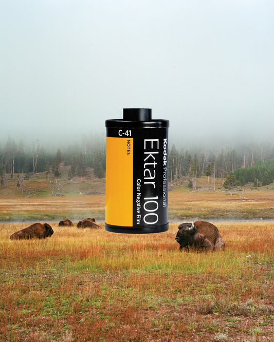 Kodak Ektar 100 - 35mm