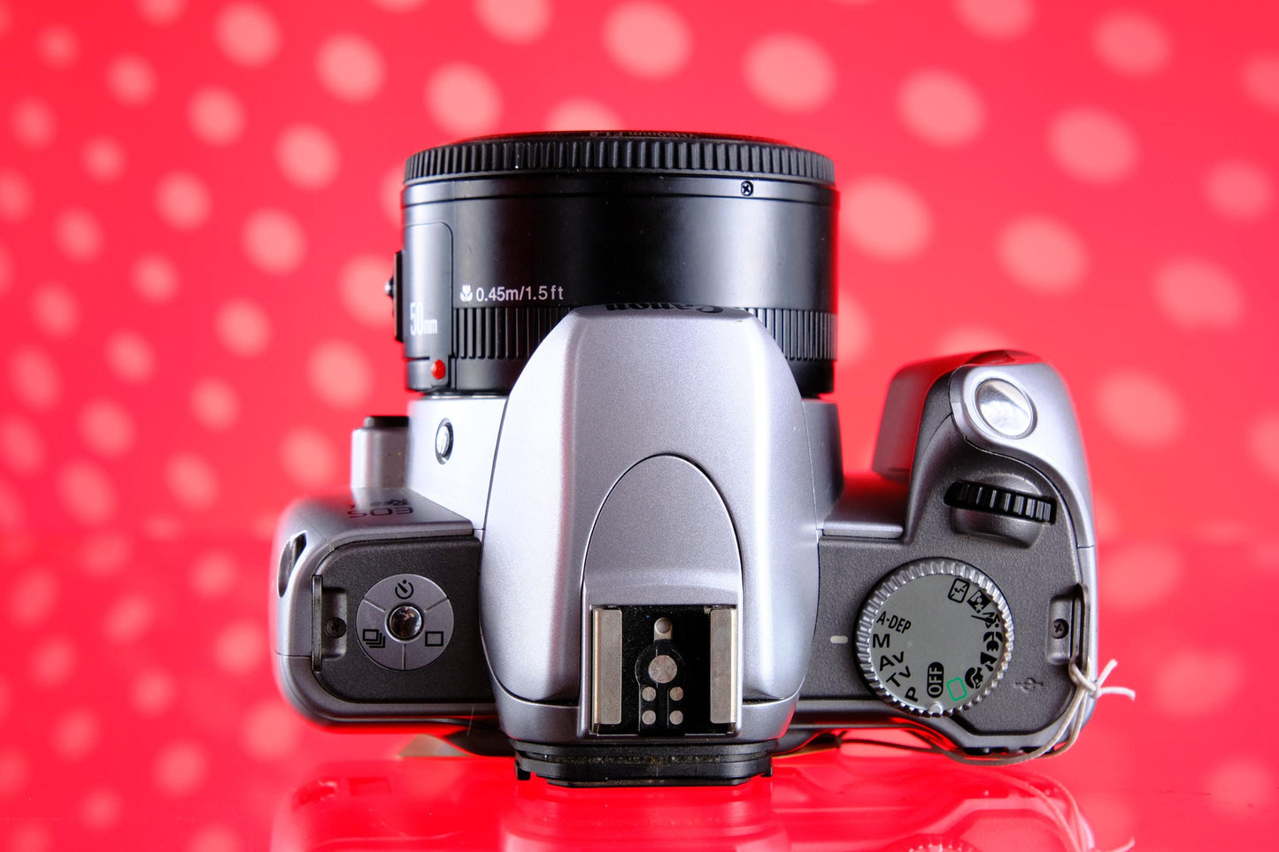 Canon EOS Rebel Ti SLR w/ Yongnuo 50mm 1.8 Lens Tested!