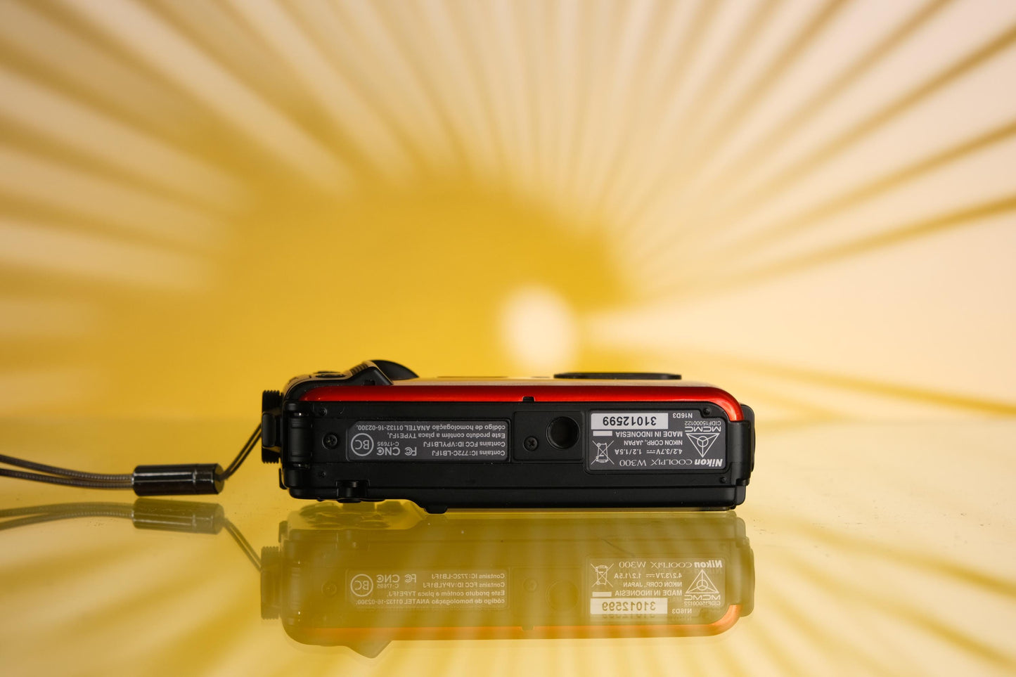 Nikon Coolpix W300 Waterproof Digital Point & Shoot Camera