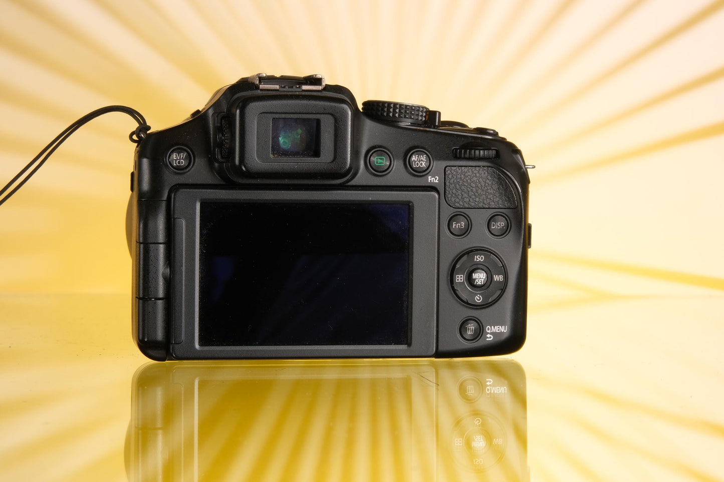 Panasonic DMC-FZ200 Bridge Point & Shoot digital Camera