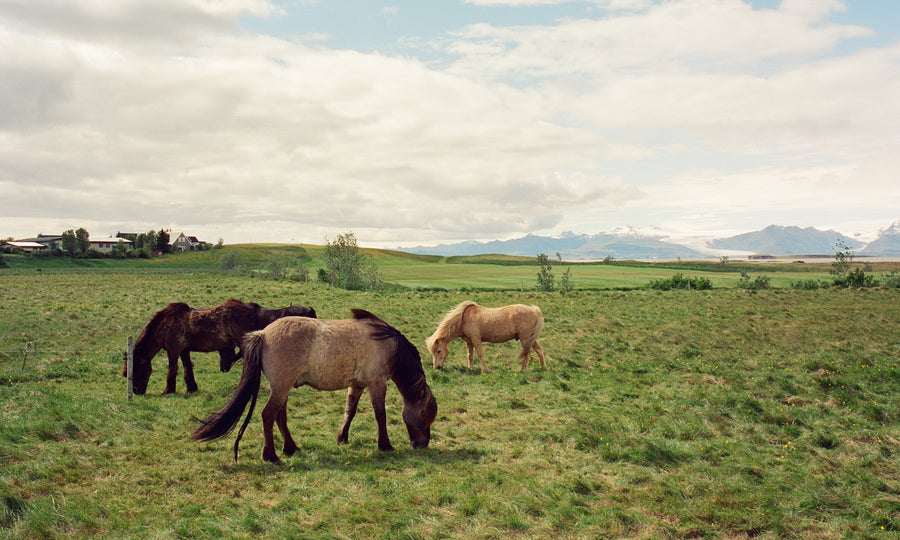 Photograph by Eddy Molina