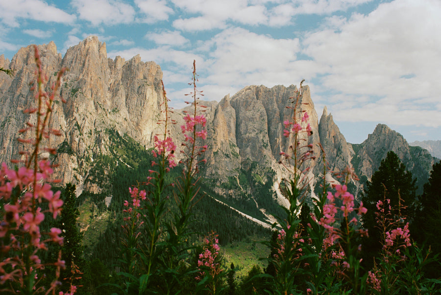 Photograph by Tiffany Newman