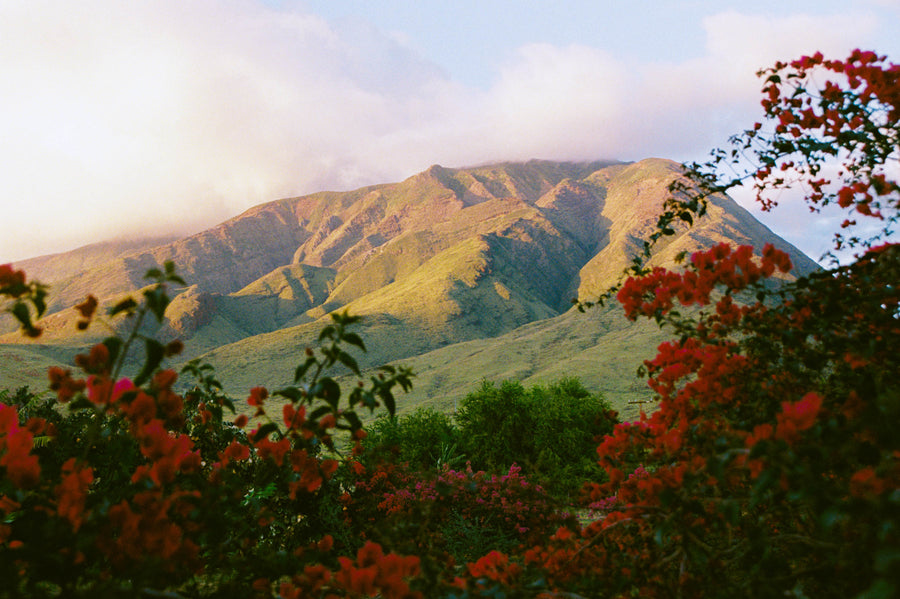 Photograph by Tiffany Newman