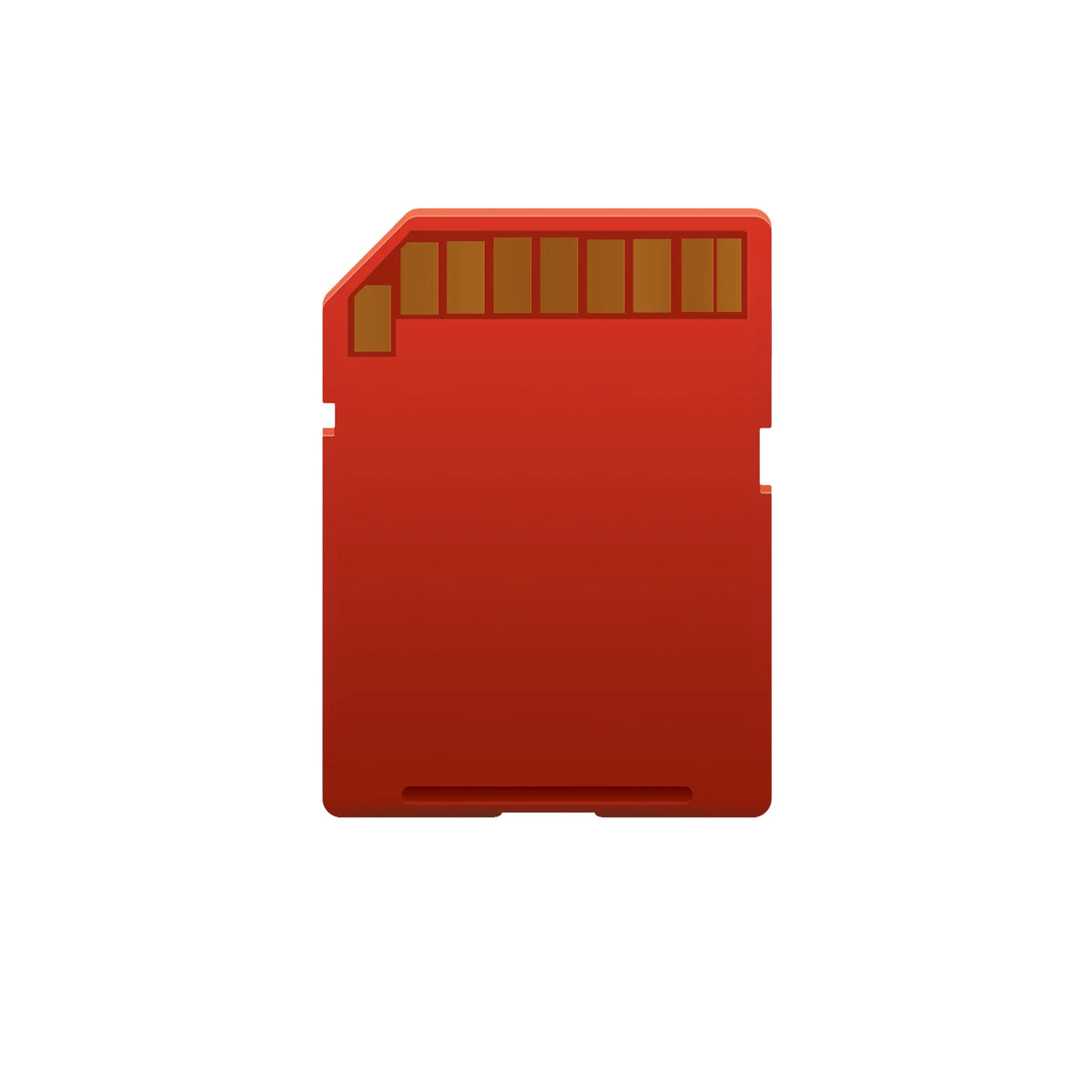 ProMaster Rugged SDXC Memory Cards