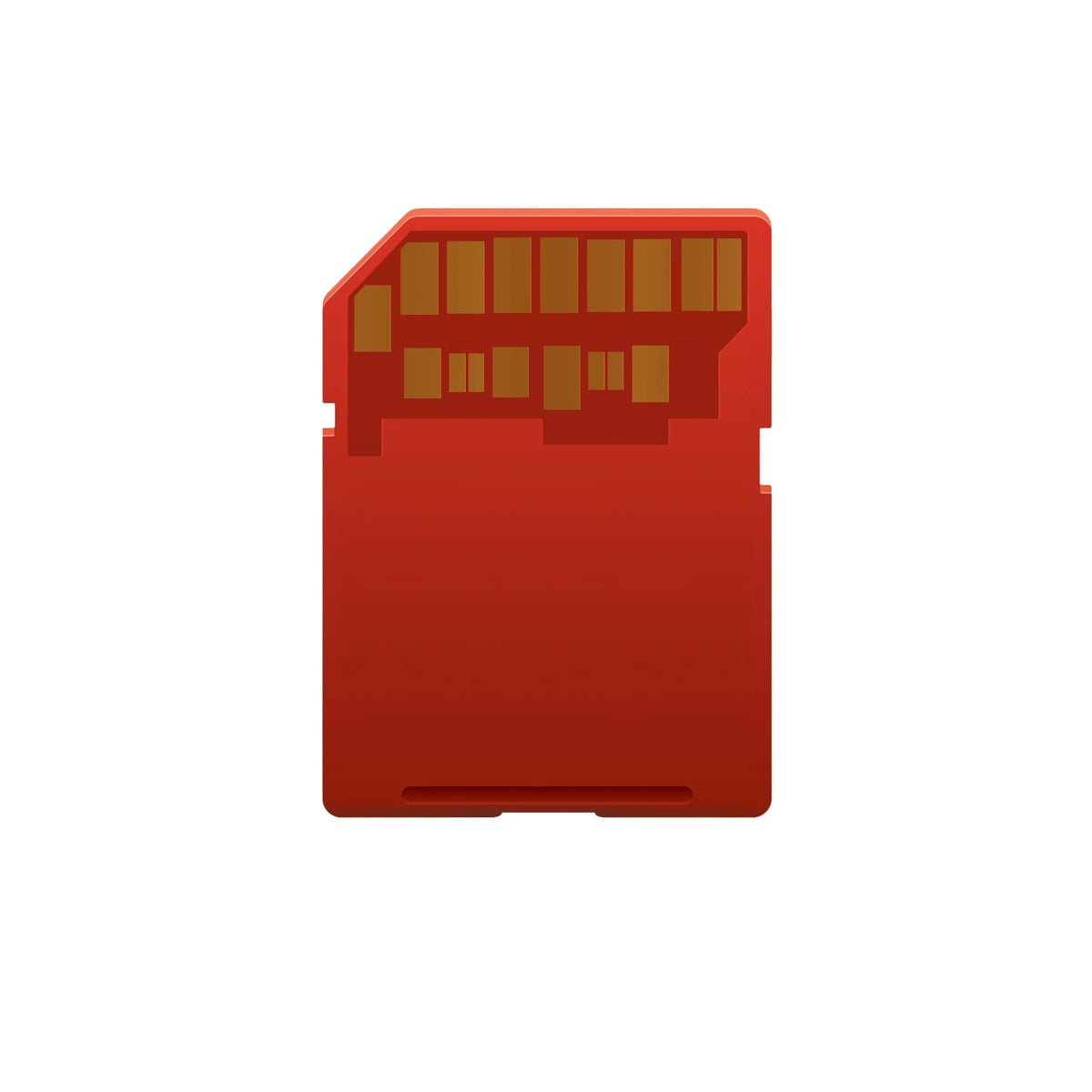 ProMaster Rugged SDXC Memory Cards