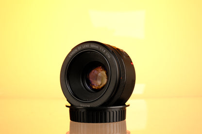 Canon 50mm f/1.8 STM EF Mount Lens