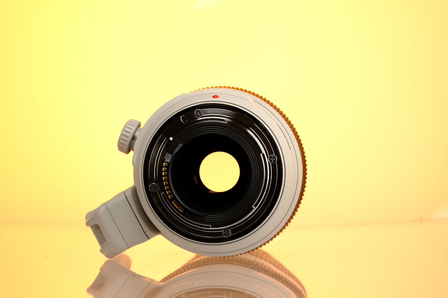 Canon 100-400mm f/4.5-5.6 L IS II USM EF Mount Lens
