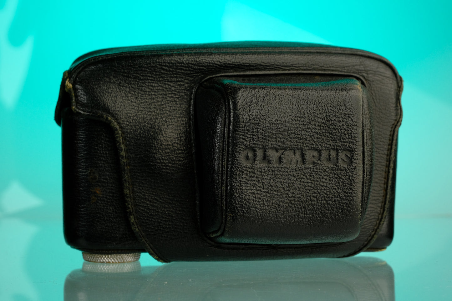Olympus PEN F Leather Case