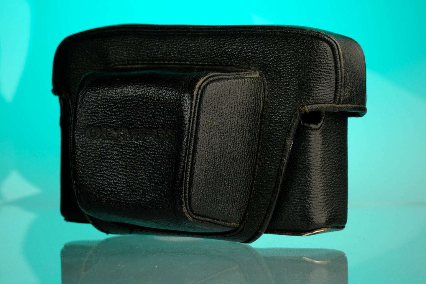 Olympus PEN FV Leather Case