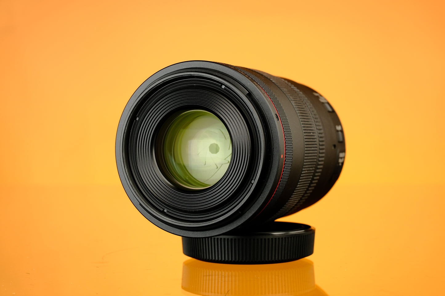 Canon RF 100mm f/2.8 L Macro IS USM Lens