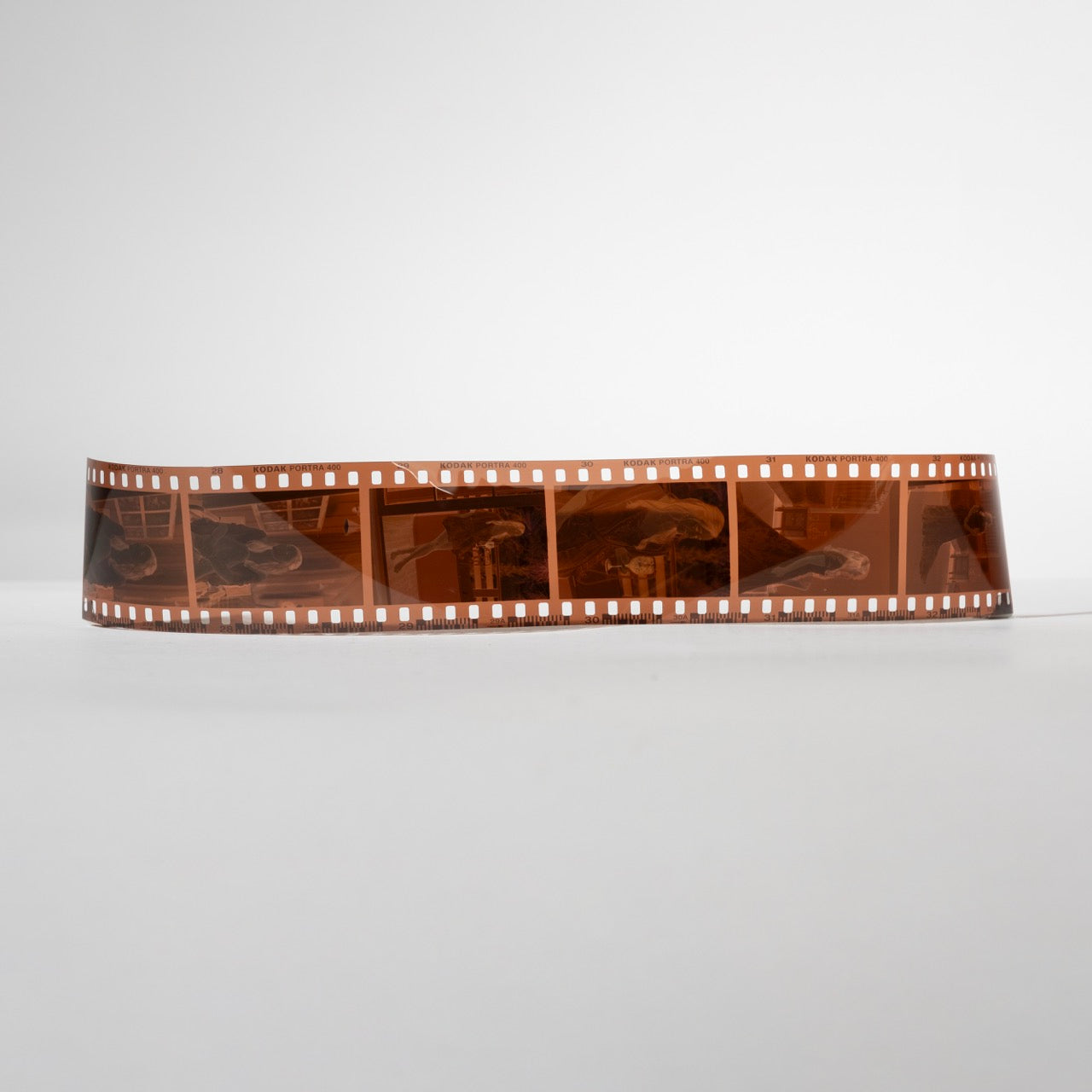 35mm Digitization - 3-6 Frame Strip of Film