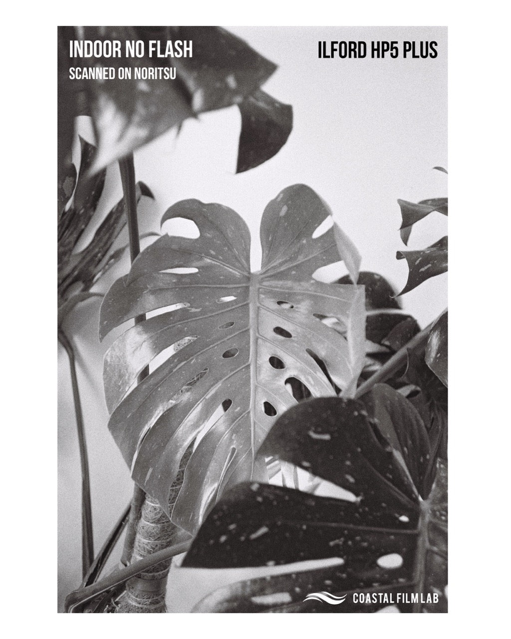 Ilford HP5 - 35mm Black & White Film 36 Exp