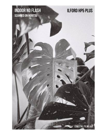 Ilford HP5 - 35mm Black & White Film 36 Exp