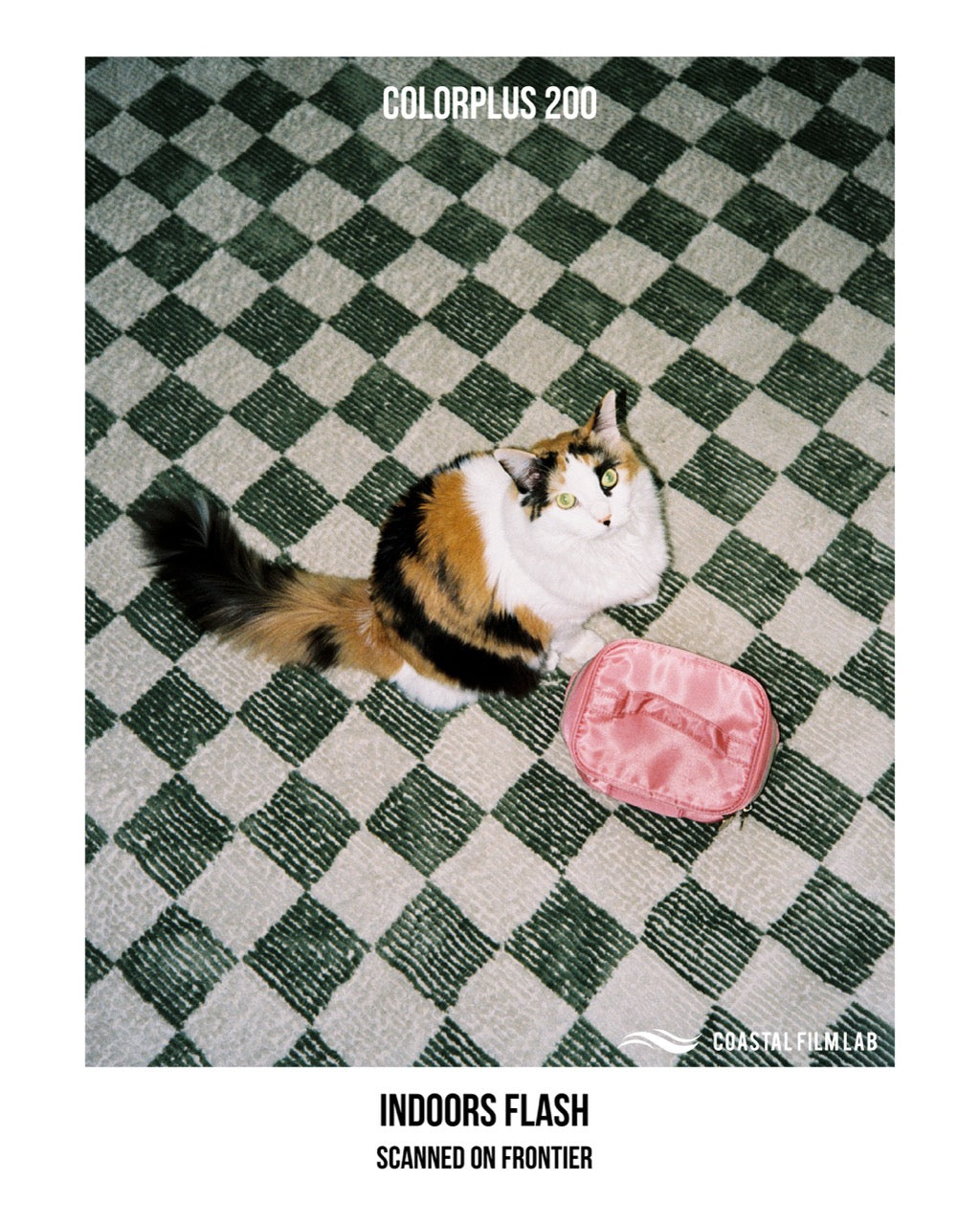 Kodak Colorplus 200 36exp - 35mm Color Negative Film