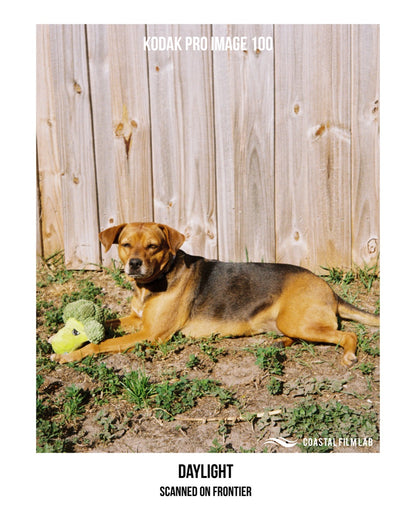 Kodak Professional Pro Image 100 35mm 36 Exp Color Negative Film