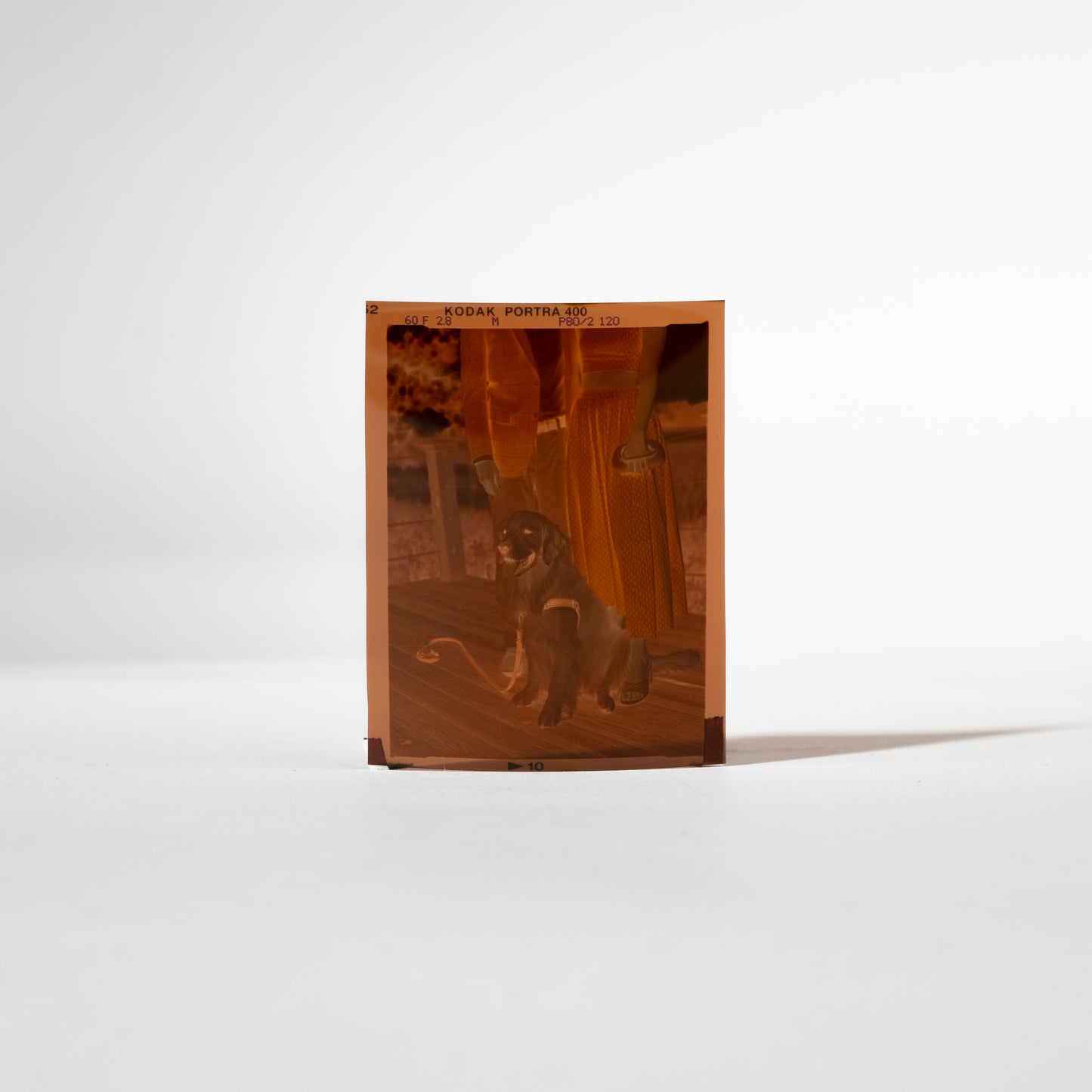 Medium Format Digitization - Loose Single Frame