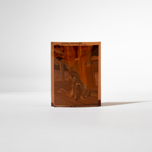 Medium Format Digitization - Loose Single Frame