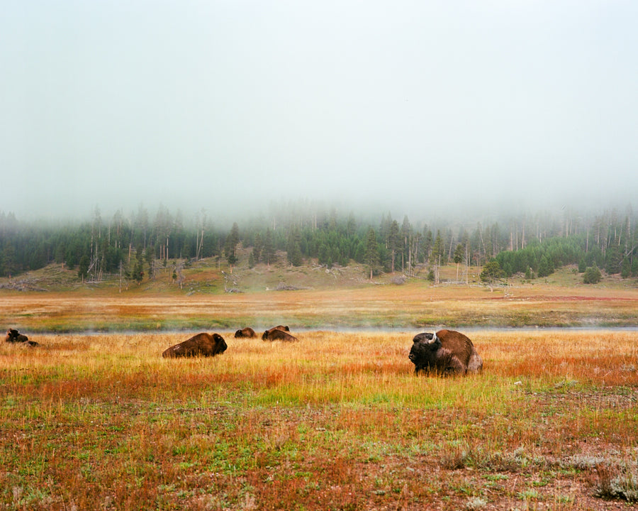 Photograph by Eddy Molina