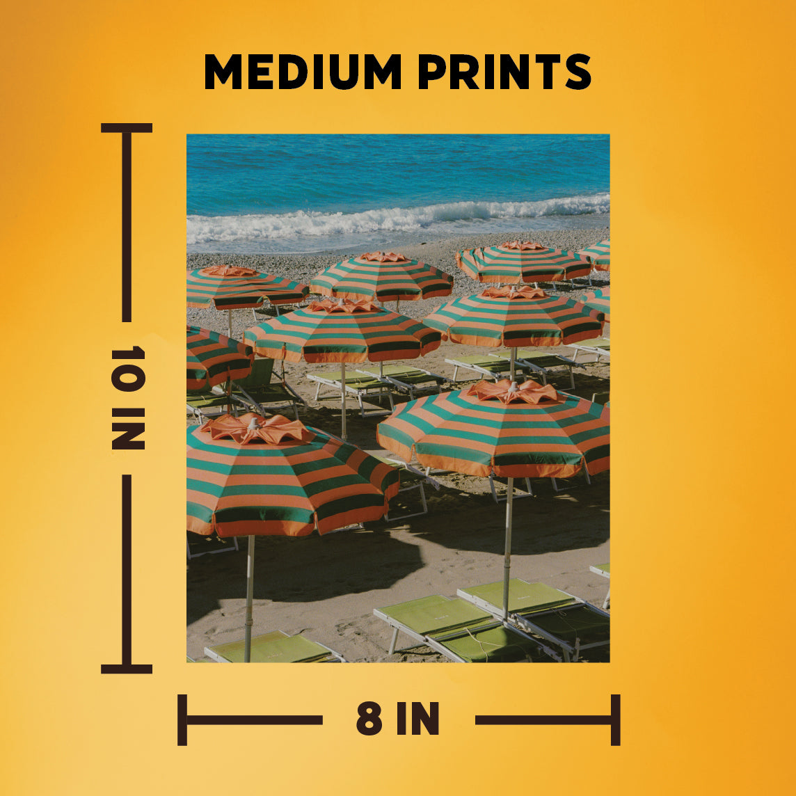 Print Scan - medium - up to 8x10