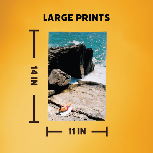 Print Scan - Large - up to 11x14