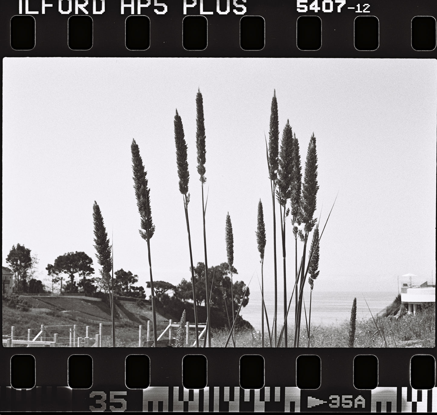 Fujifilm Frontier SP3000 MFC Film Carrier Mask - 35mm Sprocket Scan