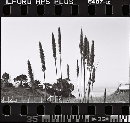 Fujifilm Frontier SP3000 MFC Film Carrier Mask - 35mm Sprocket Scan