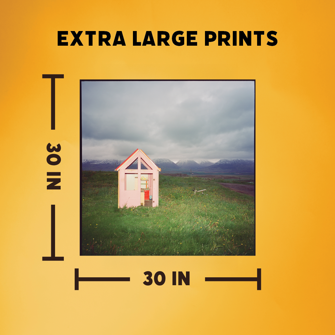 Print Scan - Extra Large - up to 30"