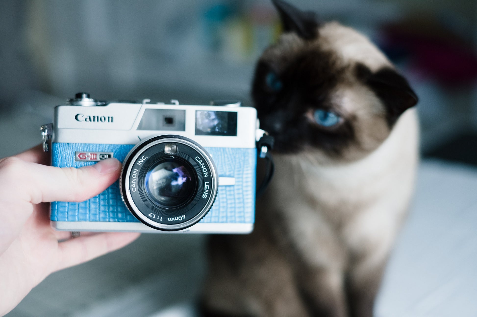 Canonet QL17 GIII 35mm Rangefinder Film Camera Custom CLA Fully Working