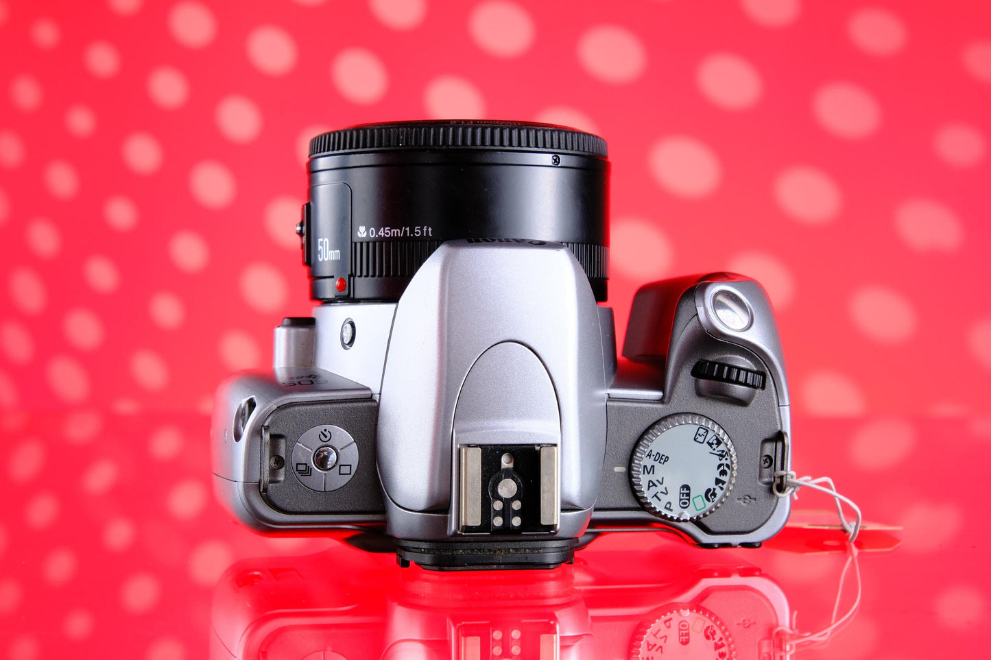 Canon EOS Rebel Ti SLR w/ Yongnuo 50mm 1.8 Lens Tested!