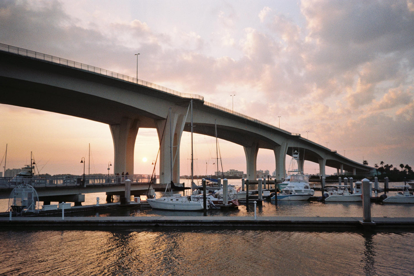 Canon Autoboy F XL Prima Mini Sureshot Sleek 35mm Point & Shoot - Tested!