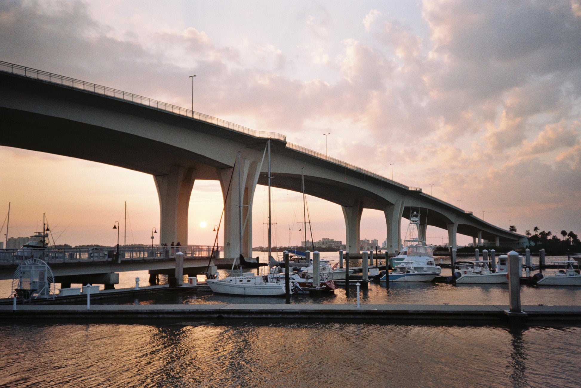 Canon Autoboy F XL Prima Mini Sureshot Sleek 35mm Point & Shoot - Tested!