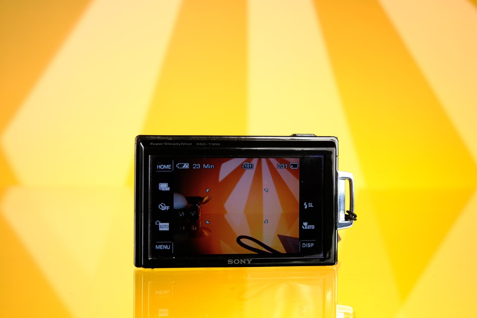 Sony Cyber-shot DSC-W210 Digicam Digital Camera Point and Shoot